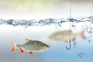 depositphotos_75291867-stock-photo-fishing-hook-under-water-and